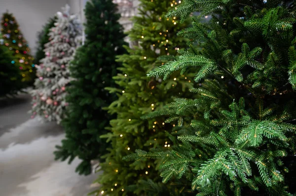 Seleção de árvores de Natal artificiais na loja — Fotografia de Stock