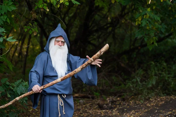 Un mago con una larga barba gris lanza un hechizo en un denso bosque — Foto de Stock