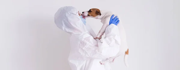 En kvinna i skyddsdräkt och mask håller en Jack Russell Terrier hund på en vit bakgrund — Stockfoto