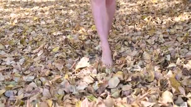 Una mujer sin rostro camina descalza sobre una hoja caída en otoño — Vídeos de Stock