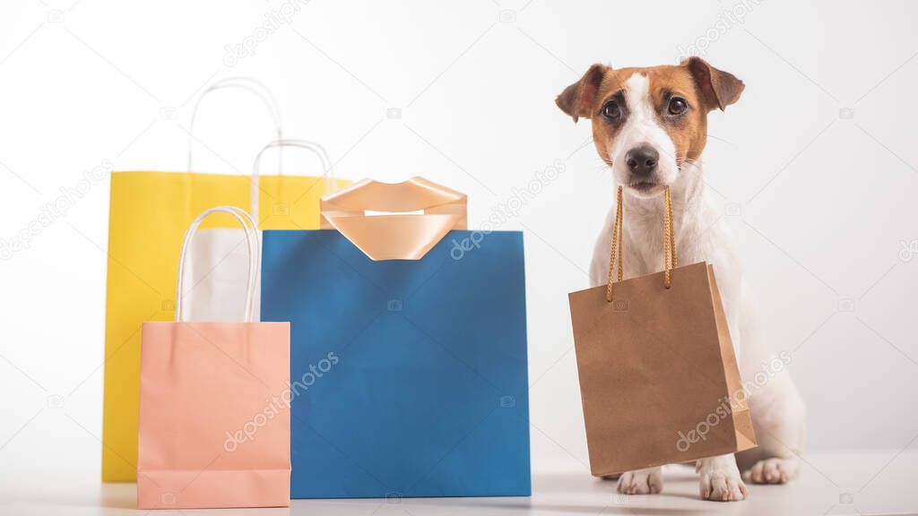 Dog jack russell terrier sitting next to different paper bags and holding a craft bag in its mouth on a white background. Sale season.