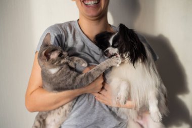 Bir köpek ve bir kedi genç bir kadın sahibinin ellerinde kavga ediyorlar. Papillon ve Fırça Sfenksi oynuyor.