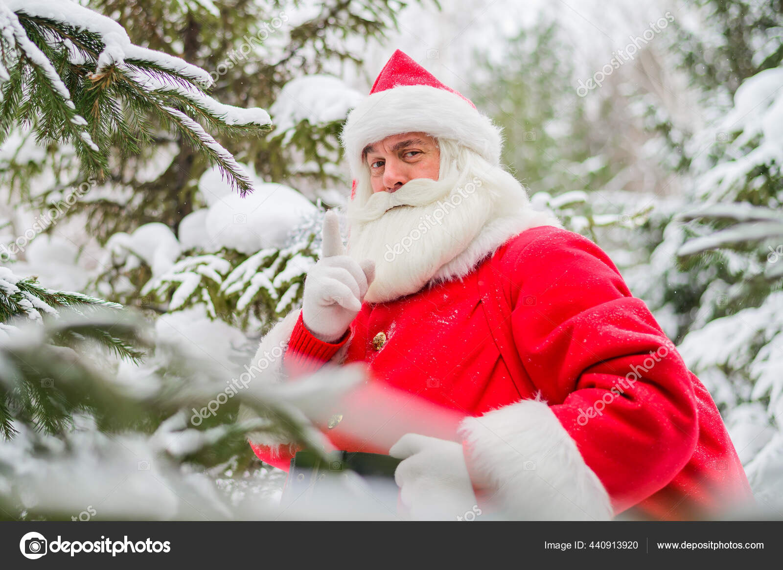 músico Abreviar Redada Sorprendido Santa Claus camina a través de un bosque de coníferas nevadas  en el Polo Norte en Laponia. Feliz Navidad. Tarjeta postal.: fotografía de  stock © inside-studio #440913920 | Depositphotos