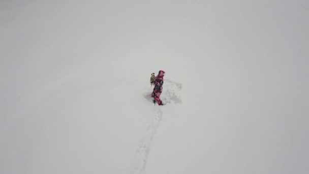 Ta holka chodí se psem v zimě. Žena držící Jacka Russella Terriera v náručí v parku. Střelba z quadcopteru — Stock video