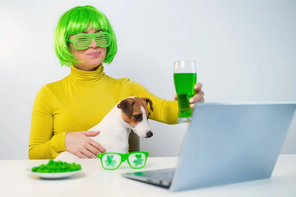 Une jeune femme avec une perruque verte et des verres gais boit de la bière et mord des noix glacées. Une fille s'assoit avec un chien à une table et célèbre st patricks jour chat en ligne avec des amis sur un ordinateur portable. — Photo