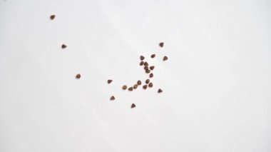 Kedi maması beyaz arka planda döner ve yazılı kediye akar..