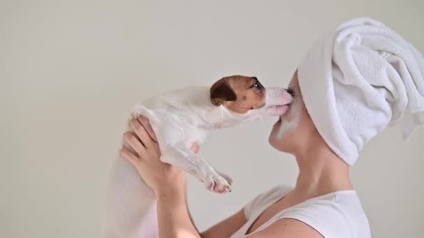 Kobieta z ręcznikiem na włosach i glinianą maską trzyma psa. Jack Russell Terrier liże maskę z twarzy właściciela. — Wideo stockowe