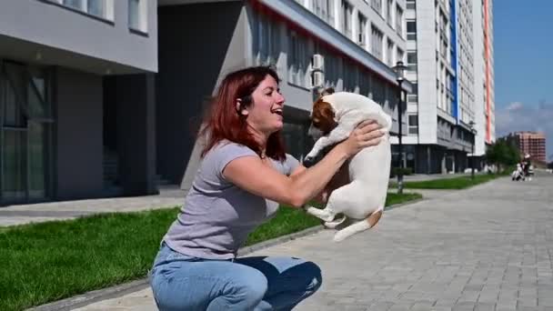 面白い小さな犬のデッキのラッセル・テリアは、散歩のために所有者の顔を舐め. — ストック動画