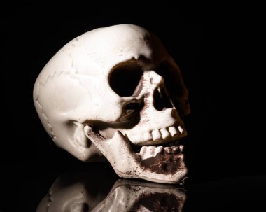 Siyah arkaplanda yapay insan kafatası.