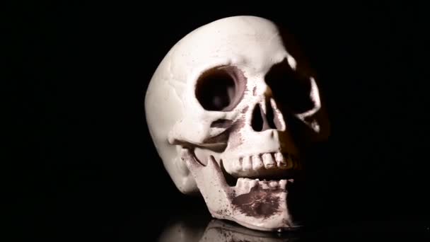 Kunstmatige menselijke schedel spinnen op zwarte achtergrond. — Stockvideo