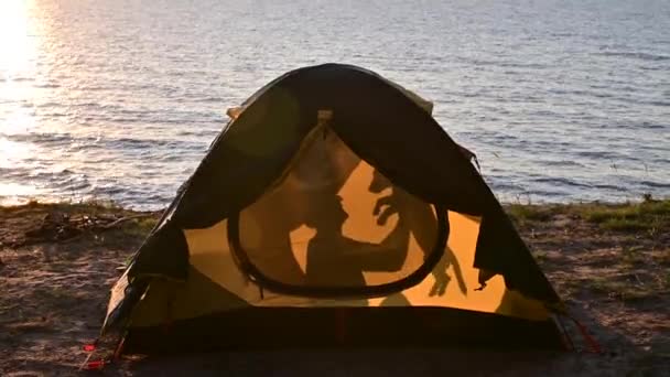 日没の観光テントの中で女性と犬。ペットとキャンプ — ストック動画