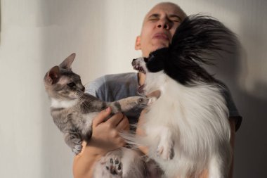 Bir köpek ve bir kedi genç bir kadın sahibinin ellerinde kavga ediyorlar. Papillon ve Fırça Sfenksi oynuyor.