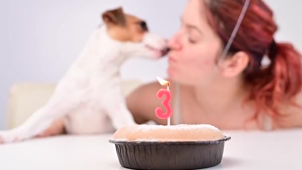 Blanke vrouw en Jack Russell terriër in vakantiepetten kijken naar de taart met een kaars. De hond en de eigenaar vieren de derde verjaardag. — Stockvideo