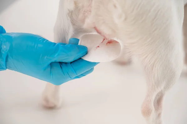 Onam qiziga bir yigit bilan jinsiy aloqada bolishga yordam berdi