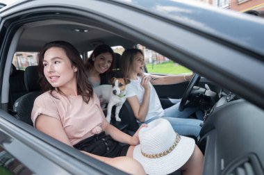 Üç mutlu kadın bir köpekle banliyöde geziyor. Neşeli kızlar arabayla tatile çıkıyorlar.