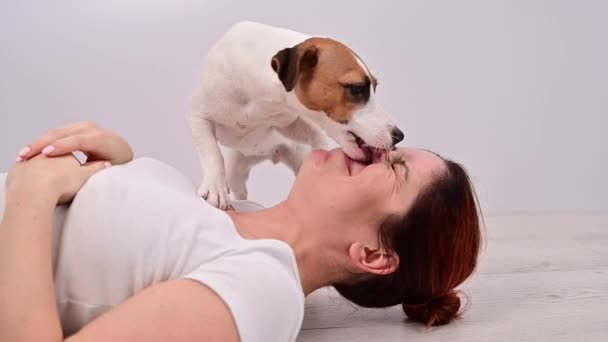 Mujer se acuesta sobre su espalda y perro jack russell terrier lame su cara sobre un fondo blanco. — Vídeos de Stock