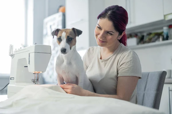 Biała kobieta szyje siedząc w kuchni. Pies Jack Russell Terrier siedzi na kolanach właściciela. Domowe hobby. — Zdjęcie stockowe