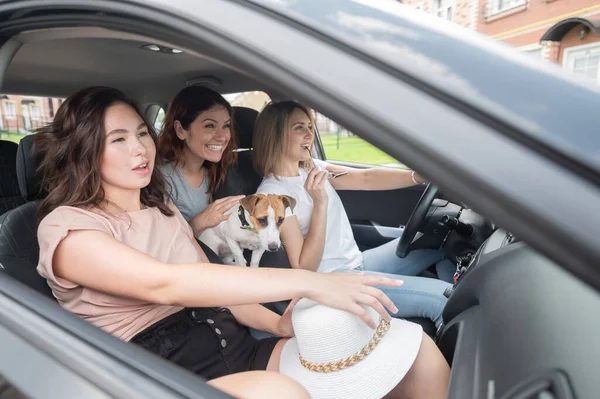 Tres mujeres felices viajan por los suburbios en un coche con un perro. Alegre novias se van de vacaciones en coche —  Fotos de Stock