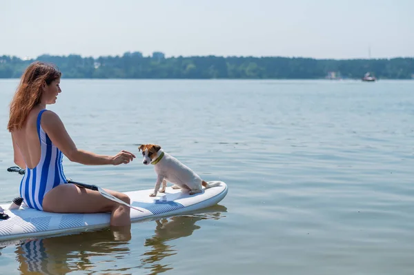 Mujer caucásica pelirroja flotando en la tabla de SUP con el perro Jack Russell Terrier. —  Fotos de Stock