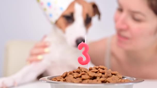 Biała kobieta i Jack Russell Terrier w czapkach wakacyjnych patrzą na miskę suchego jedzenia ze świecą. Pies i właściciel świętują trzecie urodziny. — Wideo stockowe