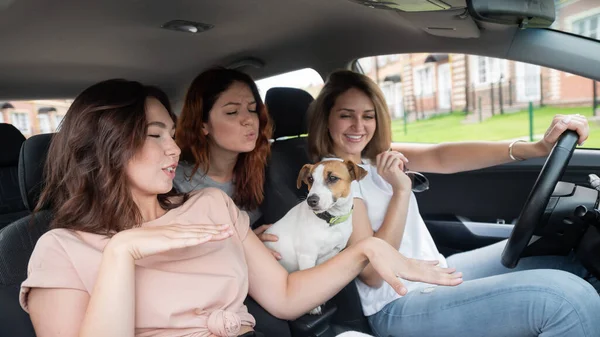 Três mulheres felizes viajam pelos subúrbios num carro com um cão. Namoradas alegres estão indo de férias de carro — Fotografia de Stock