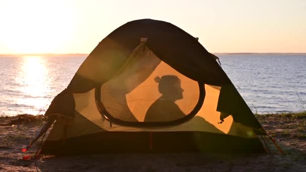 Femme et chien dans une tente touristique au coucher du soleil. Camping avec un animal de compagnie — Video