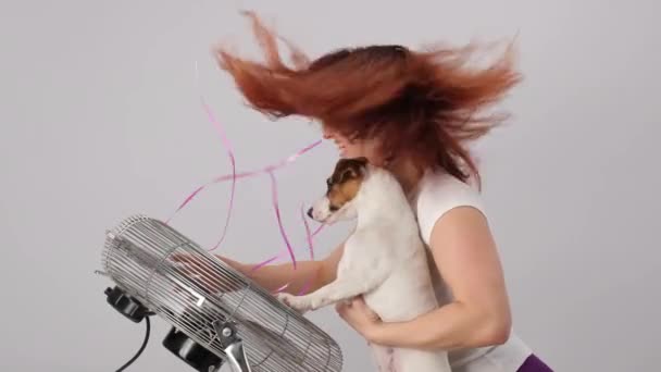 Red-haired Caucasian woman in sunglasses and Jack Russell Terrier dog enjoying the wind by the electric fan on a white background. Device cooling air. — Stock Video