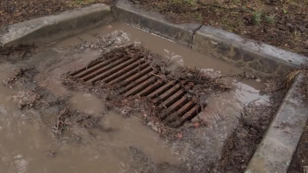 Kratka ściekowa zapchana gruzem z igieł liściastych i sosnowych podczas deszczu. — Wideo stockowe