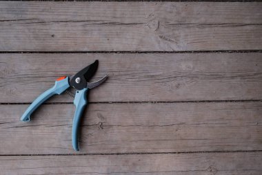 Ahşap zeminde mavi saplı bir budama makinesi. Dalları budamak için bir araçName