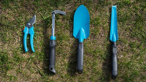 Ovanifrån av en plommonkratta och en trädgårdsmästare spade med blå handtag på gräset. En uppsättning verktyg för arbete i trädgården — Stockfoto