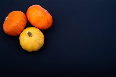 Sonbahar yatağı. Siyah arka planda üç balkabağı. Boşluğu kopyala