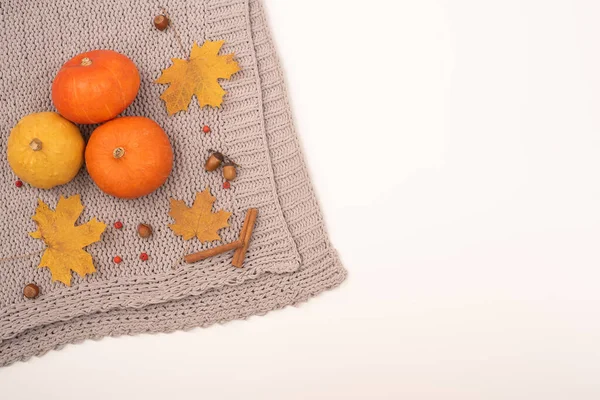 Autumn flat lay. Pumpkins and maple leaves viburnum and cinnamon and acorns on a gray plaid on a white background. Copy space — Stock Photo, Image