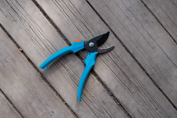 Zahradní střihač s modrými rukojetěmi na dřevěné podlaze. Nástroj pro prořezávání větví — Stock fotografie
