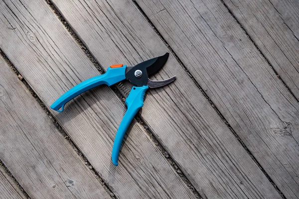 Podadora de jardinero con asas azules en un piso de madera. Una herramienta para podar ramas —  Fotos de Stock