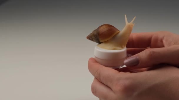 Zbliżenie otwiera mały słoik nawilżacza ślimaków na pokrywie. Stosowanie ślimaków w kosmetykach — Wideo stockowe