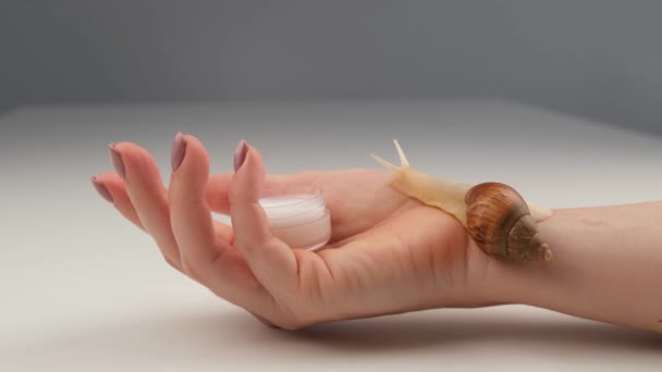 Primer plano de una mano de mujer con un pequeño frasco de crema hidratante y un caracol arrastrándose sobre la piel. El uso de caracoles en cosmetología. — Vídeos de Stock