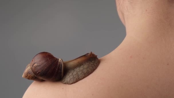 Close-up van een slak kruipend over het hoofd van een vrouwenschouder. Huidverzorging — Stockvideo