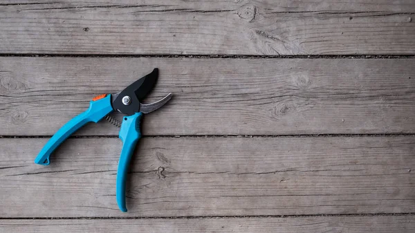 Podadora de jardinero con asas azules en un piso de madera. Una herramienta para podar ramas — Foto de Stock