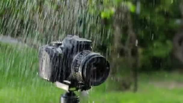 雨の中で三脚にデジタルカメラ — ストック動画