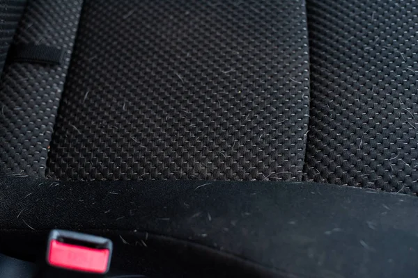 Siyah bir arabanın arka koltuğunda beyaz köpek tüyü..