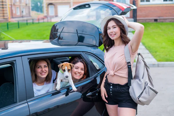 Üç kız arkadaş bir köpekle bir arabada seyahat ediyorlar. İki kadın arka koltukta Jack Russell Terrier 'la oturuyor ve pencereden dışarı bakıyor. Üçüncüsü ise yakınlarda duruyor.
