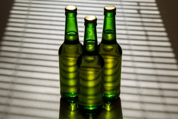 Три бутылки зеленого стекла в тени жалюзи. — стоковое фото