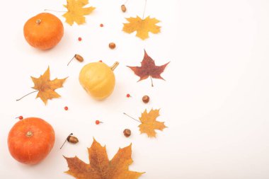 Sonbahar yatağı. Akçaağaç yaprakları, balkabakları ve beyaz arka planda meşe palamudu. Boşluğu kopyala