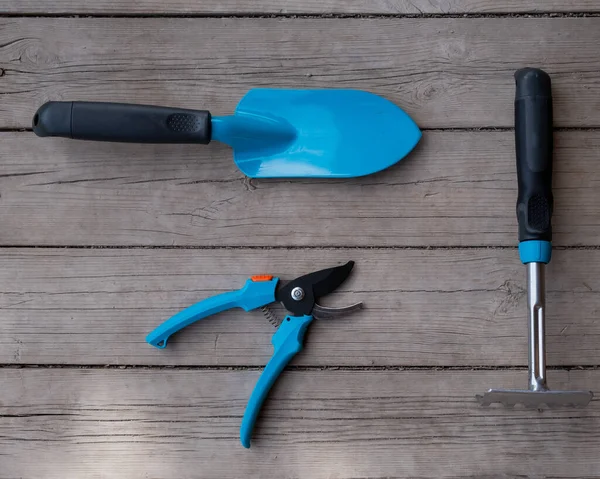 Small blue spatula, garden pruner and rake on the wooden floor. Gardeners tools — Stock Photo, Image