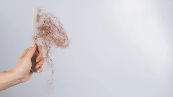 Close-up de uma mão feminina segurando um pente com um pão de cabelo em um fundo branco. Perda de cabelo e alopecia feminina — Fotografia de Stock