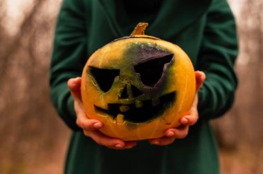 Bir cadı, yoğun bir sonbahar ormanında ürkütücü bir balkabağı tutuyor. Cadılar bayramı için fener.