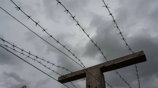 Close-up van prikkeldraad op grijze wolkenachtergrond. — Stockfoto