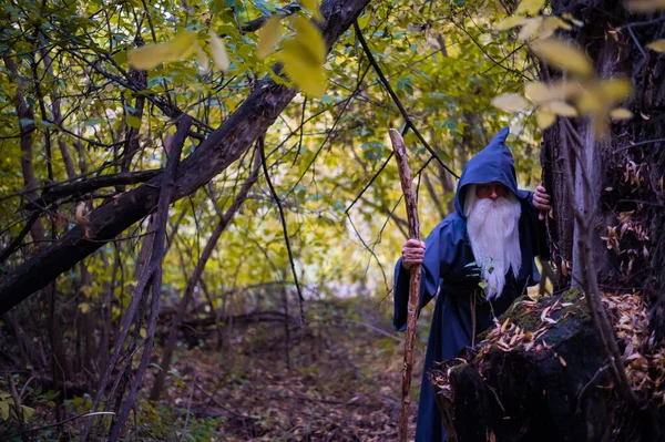 Un mago con una lunga barba grigia e un mantello in una foresta profonda. Un uomo anziano in costume da strega — Foto Stock