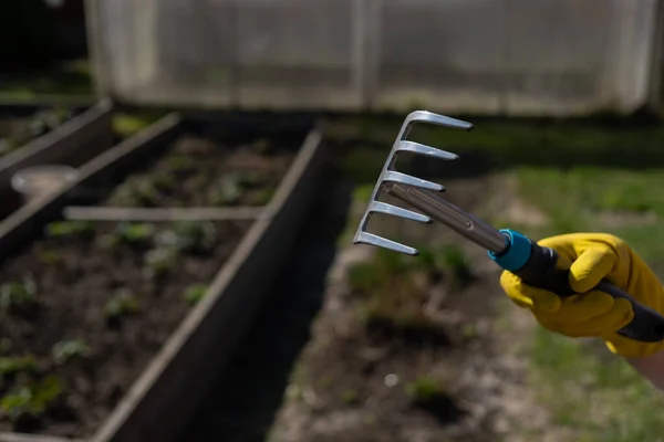 Primo piano di un rastrello da giardino nelle mani di un giardiniere — Foto Stock