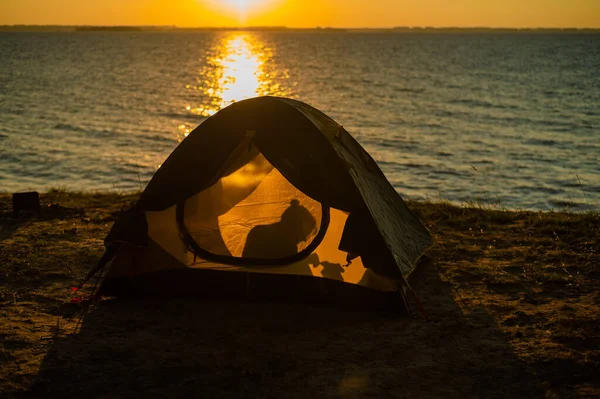 Femme et chien dans une tente touristique au coucher du soleil. Camping avec un animal de compagnie — Photo